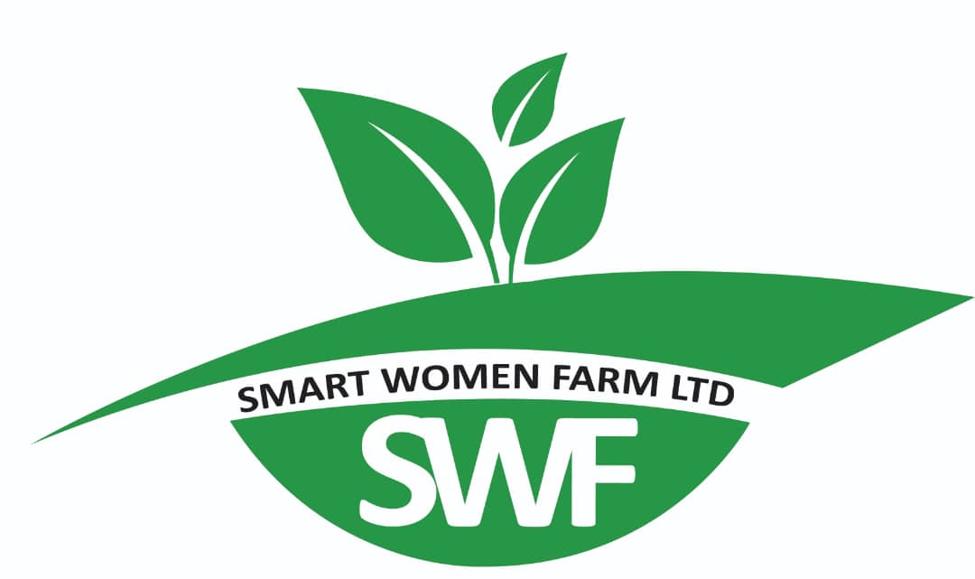 Logo Light